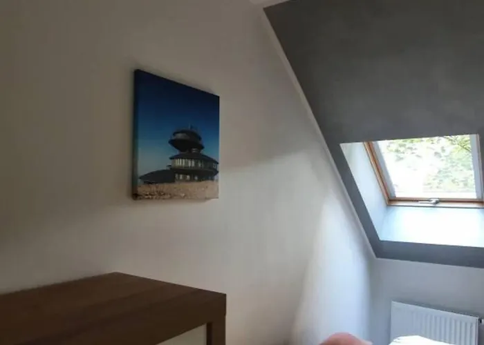 公寓 Velvetto 卡尔帕奇